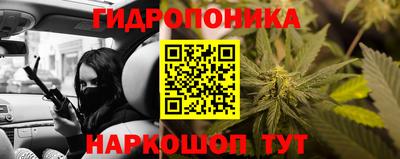 дмт Гусев