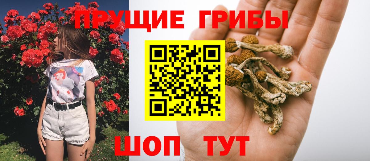 Псилоцибиновые грибы прущие грибы Кинешма